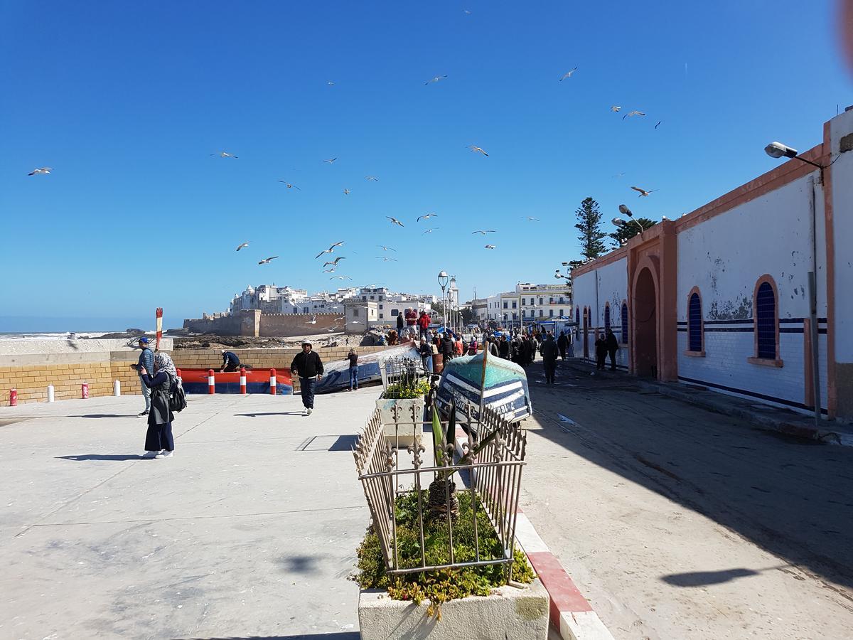 Riad Sidi Magdoul Esauira Exterior foto